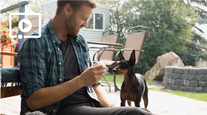 A man playing fetch with a small dog