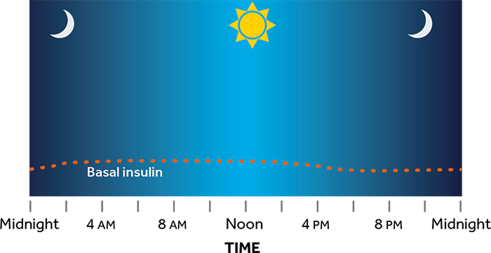 Basal insulin graph