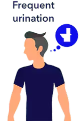 Graphic of hyperglycemia symptoms - Frequent urination