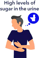 Graphic of hyperglycemia symptoms - High level of sugar in urine