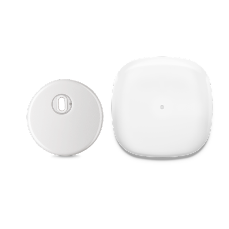 Instinct sensor, made by Abbott, and Simplera Sync sensor