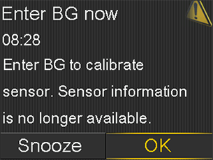 sensor-guardian-enter-bg-now-screen-ok-selected